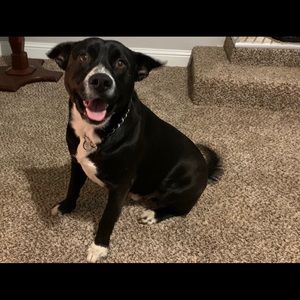 Meet your Posher, Jordan